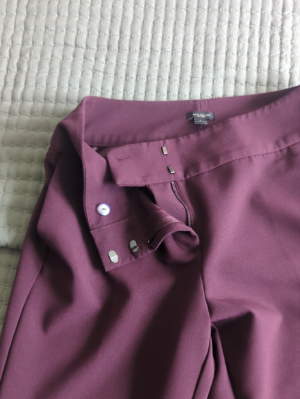 Ann Taylor Factory Plum Ponte Trousers - Picture 4 of 7